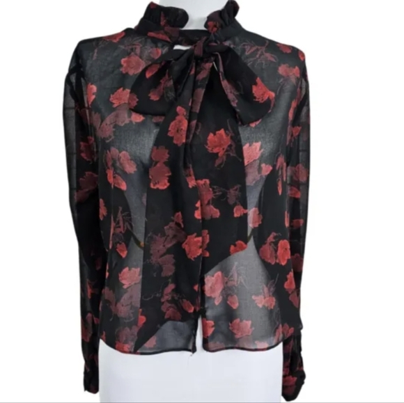 Zara Sheer Blouse With Bow - Picture 4 of 7